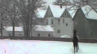 Harness Horse Skijoring at Goshen Historic Track [upl. by Mart135]