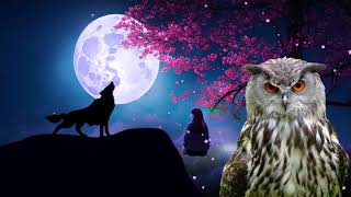 wolves howling sound wolf sound owls sound effect owl hoot owls hooting [upl. by Raleigh714]