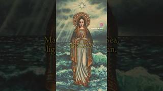 Stella Maris ♡ blessedmother virginmary stellamaris catholic shorts [upl. by Radburn]