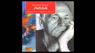 Bohumil Hrabal  Pábitelé Mluvené slovo Audiokniha  AudioStory [upl. by Eellehs]