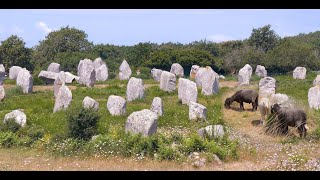 CARNAC [upl. by Lenneuq680]