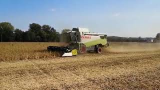 CRESSONI CRX 66m Sojaflex Claas Teil 6 [upl. by Ecirtnas]