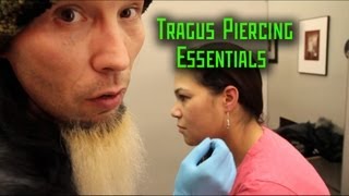 Tragus Piercing Essentials THE MODIFIED WORLD [upl. by Sulrac996]