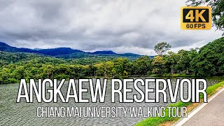 🇹🇭 4K HDR  Ang Kaew Reservoir  Walk Through Chiang Mai Universitys Scenic Campus  Thailand [upl. by Aicetal381]