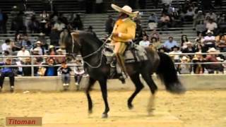 Corridos De Caballos  Antonio Aguilar [upl. by Efthim]