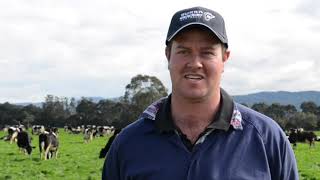 Gippsland farm achieves good feed options with help from Graymont Aglime [upl. by Ebag]