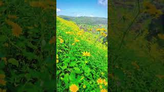 Matheran hills Neral Mumbai Maharashtra IndiaAnivlogs2 [upl. by Remlap]