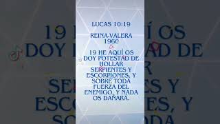 versiculosbiblicos profecias profeciasbiblicas bibliasagrada bibliasagrada bibliaestudio [upl. by Kcirderf84]