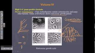 Bergeys Manual Vol 4  Gram positive bacteria [upl. by Michigan748]