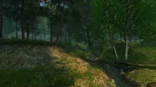 Summer Forest 3D Screensaver [upl. by Dlnaod]