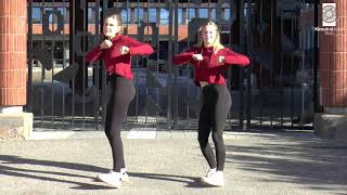 Katedralskolan i Skara  Jerusalemma dance challenge [upl. by Idnim148]