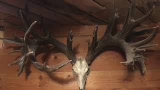 THE PERFECT SCORE ep3 antlers deerhunting canada usa [upl. by Atisor]