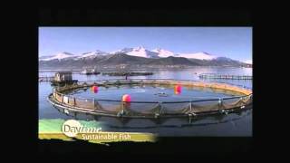 Farmed vs Wild Salmon Get the facts [upl. by Jules]