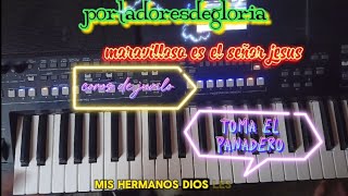 juvilo maravilloso es el señor Jesús toma el panadero tutorial piano juvilo [upl. by Wadlinger]