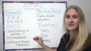 Organic compounds  4 main types described [upl. by Phalan]