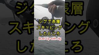 青物 メタルジグの表層スキッピング fishing ショアジギング 青物 [upl. by Sedruol118]