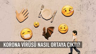 Korona virüsü nasıl ortaya çıktı 🤔 Virüs bulaşıcı mı [upl. by Erot]