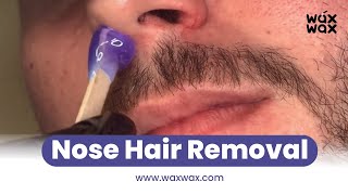 Safe and Painless Nose Hair Removal with Wax Wax Easy AtHome Tutorial [upl. by Palmer882]