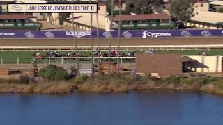 John Deere Breeders Cup Juvenile Fillies Turf G1 Carrera 8  1 de Noviembre 2024 [upl. by Eissahc]