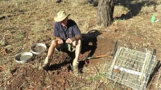 Fossicking for Moonstone  Queensland Australia [upl. by Susette]