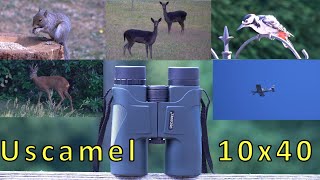 Uscamel 10x42 Compact Binocular  Great for Birds amp Wildlife Plane Spotting and Taking on Holiday [upl. by Ear143]