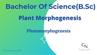 Photomorphogenesis  Phytochrome  Cryptochrome  Plant morphogenesis  For BSc students [upl. by Notgnimer]