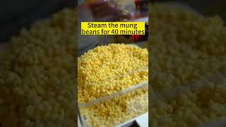 How to make mung bean cake streetfood snacks [upl. by Adnical723]