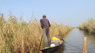 Chilika fishing vlog Indian s largest lake odisha MrChilikaVlogs [upl. by Sedda543]