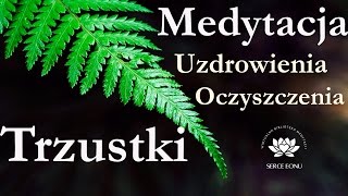 Medytacja Uzdrowienie i Oczyszczenie TRZUSTKI [upl. by Ruon283]