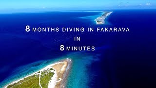 8 Months Diving In Fakarava in 8 Minutes French Polynesia [upl. by Daniels687]