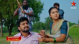 Maguva O Maguva  Promo  11th Nov 2024  Star Maa Serials  Mon  Sat at 630 pm  Star Maa [upl. by Etteraj100]