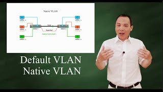 Default VLAN and Native VLAN [upl. by Yendys]