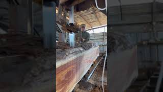 Process of sawing a large and long log to obtain a square timber block woodwork woodworking [upl. by Iccir]