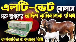 LTVet Bolus  এলটিভেট নিয়ে বিস্তারিত তথ্য ও আলোচনা  পশুর কৃমি জনিত সকল সমস্যার কার্যকর সমাধান । [upl. by Calva]