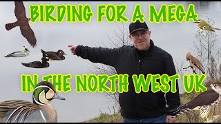 BIRDING FOR A MEGA RARE BIRD IN THE NORTH WEST UK [upl. by Assiluy32]