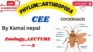 Phylum Arthropodacee best lecture with notes and instructions lecture5 [upl. by Harald]