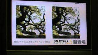 CP2011：市川ソフトラボラトリー「SILKYPIX Developer Studio Pro5」紹介 [upl. by Soisinoid]