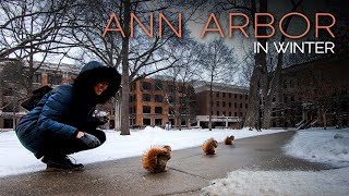 Winter in Ann Arbor  Walking through Downtown and Campus of University of Michigan [upl. by Rennob284]