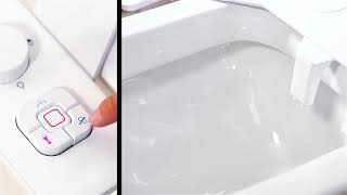 An Introduction to the Bidet [upl. by Niboc]