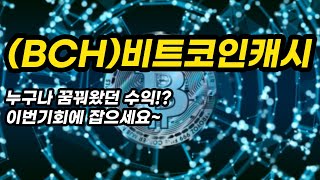 BCH비트코인캐시ㅣ누구나 꿈꿔왔던 수익이번기회에 잡으세요 [upl. by Chae]