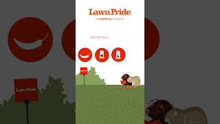 Moles and Voles  Lawn Pride [upl. by Yrian]