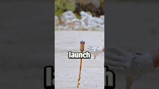 How to launch water bottle like rocket 🤔 [upl. by Sahpec]