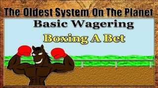 Horse Racing Terms Explained [upl. by Alyakam471]