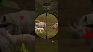 Animal Hunter Game Level 22 games [upl. by Odraleba276]