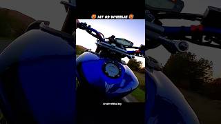 Yamaha Mt 09 Khatarnak Wheelie 🥵🥵  automobile ytshorts mt09 shortsfeed shorts [upl. by Aihsem]