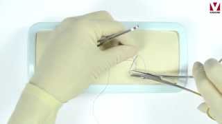 Suture techniques Cruciate [upl. by East]