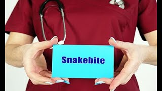 Comprehensive Snakebite Program offers multidisciplinary care [upl. by Chandos]