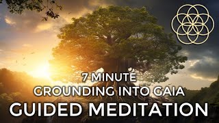 Grounding with GAIA Shed Negative Energy  Guided Meditation  Solfeggio Frequencies [upl. by Albright106]