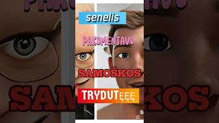 PASIGAVAU TRYDUTĘ kvapas yra elementasforyou samosi samosha memes samosaa Paulius samoska [upl. by Vincentia382]