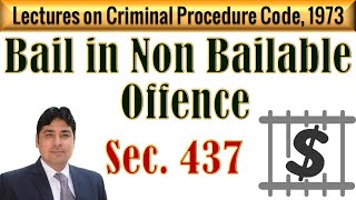 Bail in Non Bailable Offence  Section 437 of CrPC  Lectures on Criminal Procedure Code 1973 [upl. by Nywrad]